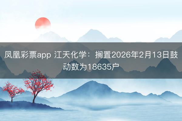 凤凰彩票app 江天化学：搁置2026年2月13日鼓动数为18635户