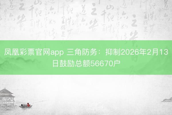 凤凰彩票官网app 三角防务：抑制2026年2月13日鼓励总额56670户