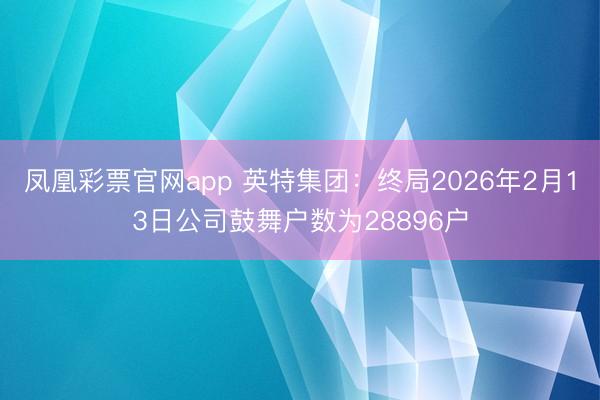 凤凰彩票官网app 英特集团：终局2026年2月13日公司鼓舞户数为28896户