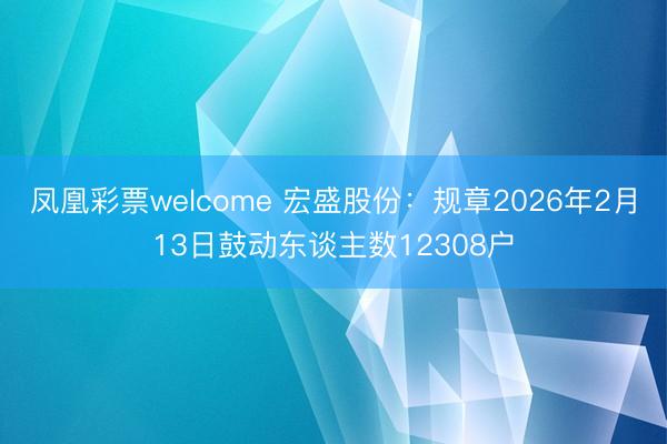 凤凰彩票welcome 宏盛股份：规章2026年2月13日鼓动东谈主数12308户