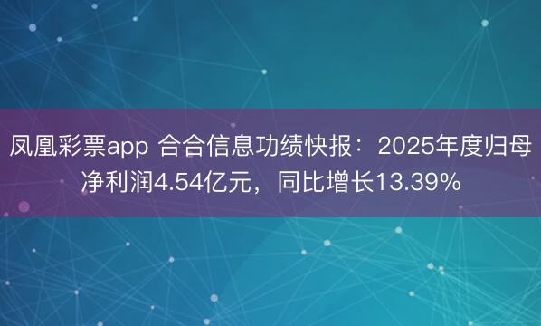凤凰彩票app 合合信息功绩快报：2025年度归母净利润4.54亿元，同比增长13.39%