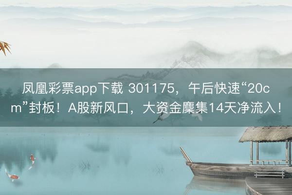 凤凰彩票app下载 301175,午后快速“20cm”封板!A股新风口,大资金麇集14天净流入!