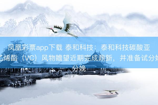 凤凰彩票app下载 泰和科技：泰和科技碳酸亚乙烯酯（VC）风物瞻望近期完成鼎新，并准备试分娩