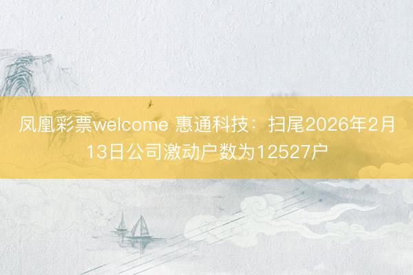 凤凰彩票welcome 惠通科技：扫尾2026年2月13日公司激动户数为12527户