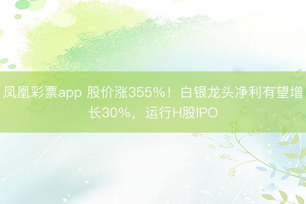 凤凰彩票app 股价涨355%！白银龙头净利有望增长30%，运行H股IPO