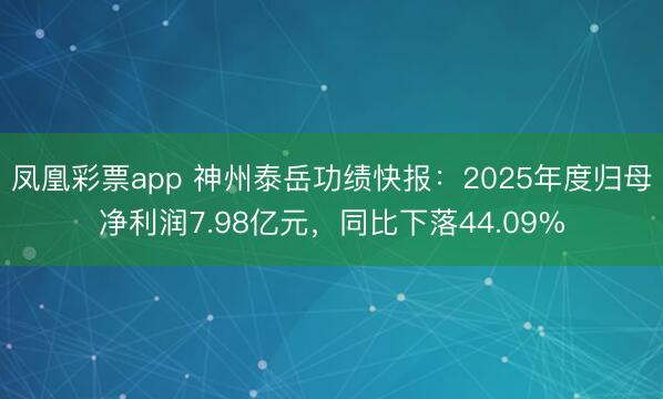 凤凰彩票app 神州泰岳功绩快报：2025年度归母净利润7.98亿元，同比下落44.09%
