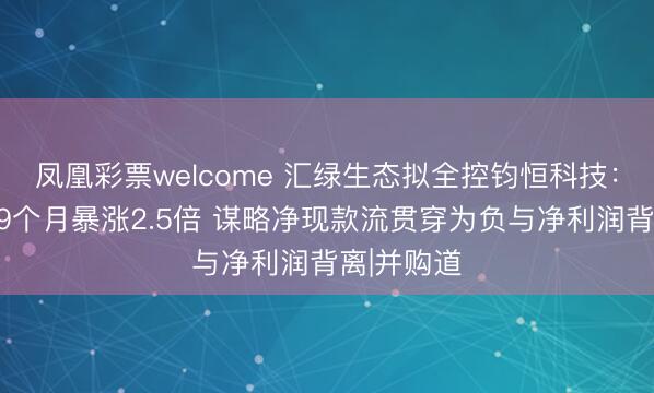 凤凰彩票welcome 汇绿生态拟全控钧恒科技：方针估值9个月暴涨2.5倍 谋略净现款流贯穿为负与净利润背离|并购道
