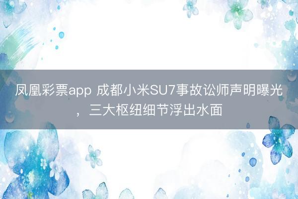 凤凰彩票app 成都小米SU7事故讼师声明曝光，三大枢纽细节浮出水面