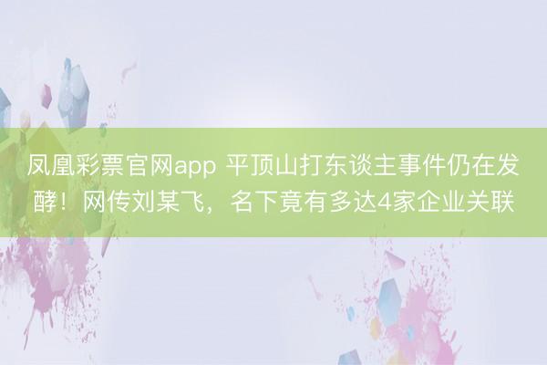 凤凰彩票官网app 平顶山打东谈主事件仍在发酵!网传刘某飞,名下竟有多达4家企业关联