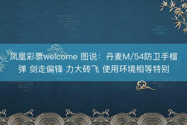 凤凰彩票welcome 图说：丹麦M/54防卫手榴弹 剑走偏锋 力大砖飞 使用环境相等特别
