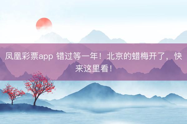 凤凰彩票app 错过等一年!北京的蜡梅开了,快来这里看!