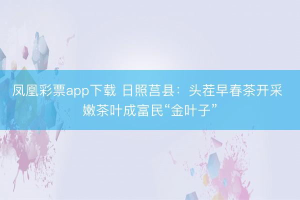凤凰彩票app下载 日照莒县:头茬早春茶开采 嫩茶叶成富民“金叶子”