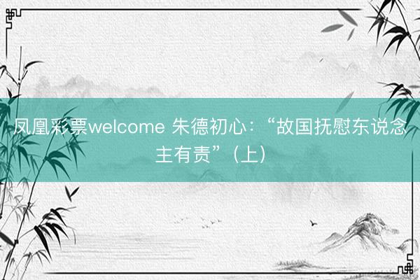 凤凰彩票welcome 朱德初心:“故国抚慰东说念主有责”(上)